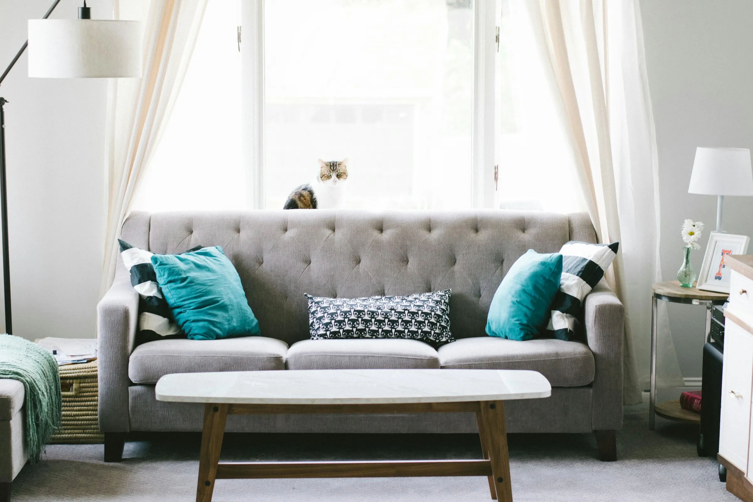 Fabric sofa in a bright living room